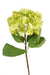 Grøn Kunstig Hortensia 80 Cm Til Blomsterdekoration