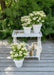 Hortensia '(S) Sorcière Ophélia'® - ↨60Cm - Ø24Cm - Blomstrende Udendørs Plante