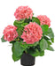 Kunstig Lyserød Hortensia
