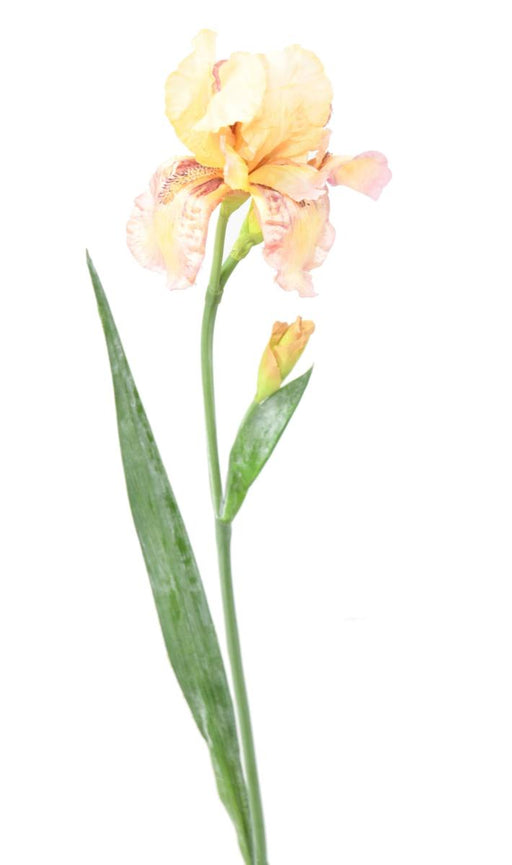 Kunstig Iris 2 Blomster Creme Lilla 70 Cm Dekoration