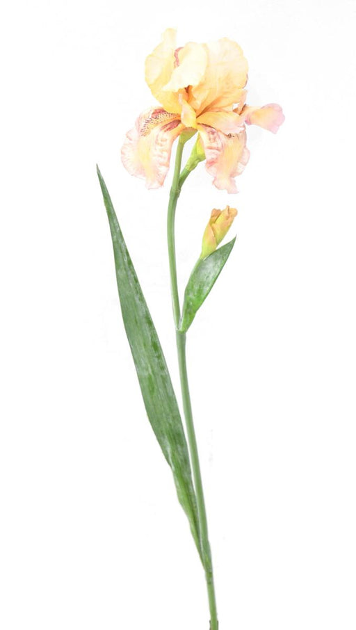 Kunstig Iris 2 Blomster Creme Lilla 70 Cm Dekoration