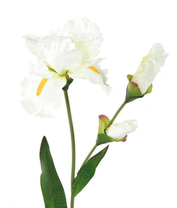Hvid Kunstig Iris 74 Cm Blomster Boligindretning