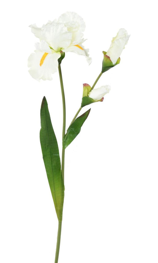Hvid Kunstig Iris 74 Cm Blomster Boligindretning