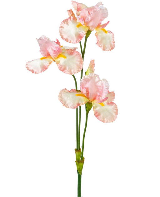 Lyserød Kunstig Iris