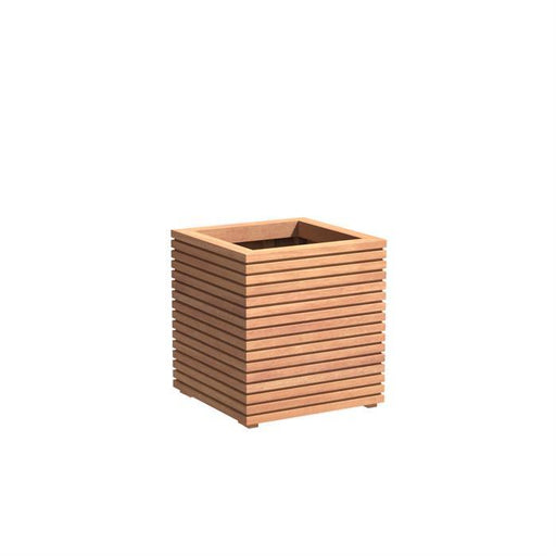 Malaga Eksotisk Trægartner 60 Cm Til Planter