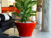 Centro Alto Plantemaskine