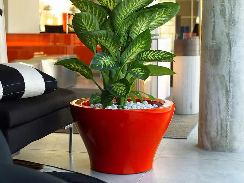 Centro Alto Plantemaskine