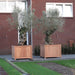Eksotisk Træplantekasse Til Udendørs Blomster 120 Cm
