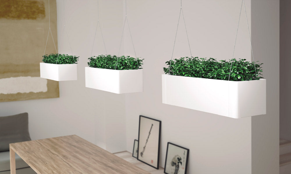 Grønt Lys Hænge Plantekasse