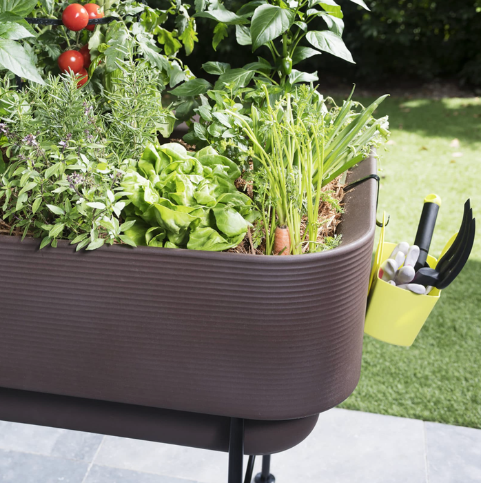Rede Planter