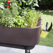Rede Planter
