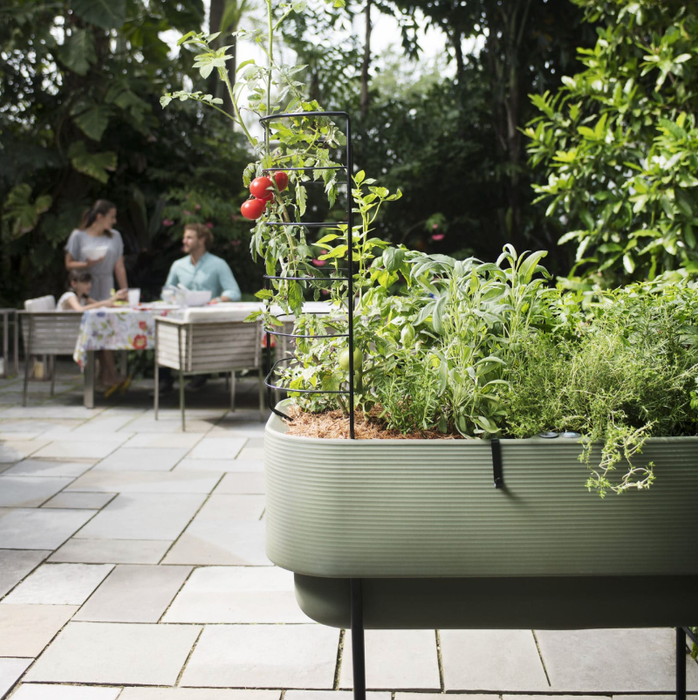 Rede Planter