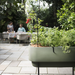 Rede Planter