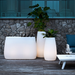 Pandora Led Plantemaskine