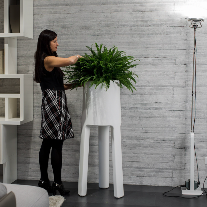 Sepio Planter