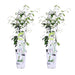 Star Jasmine - Sæt Med 2 Jasminer