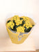 Kalanchoe Dobbelt Gul D23Cm H27Cm