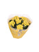 Kalanchoe Dobbelt Gul D23Cm H27Cm