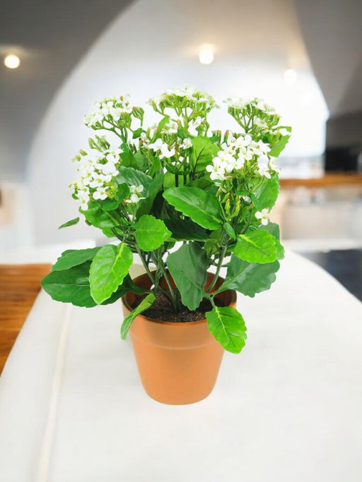 Kalanchoe - Kunstig Grøn Plante