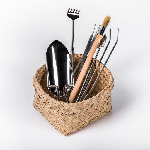 Gør Det Selv-Værktøjssæt - Planter Og Terrarier