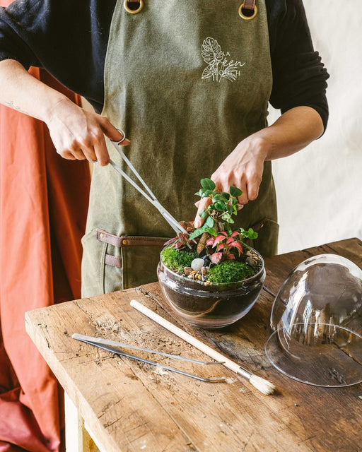 Værktøjssæt - Vedligeholdelse Af Terrarium