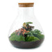 Gør-Det-Selv Terrariumsæt 3 Planter - Samos