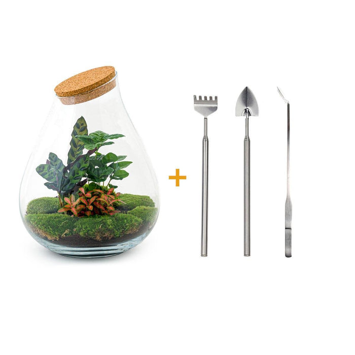 DIY Terrarium Kit - Doorn