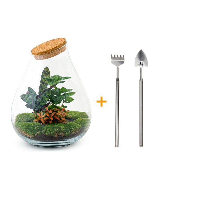DIY Terrarium Kit - Doorn