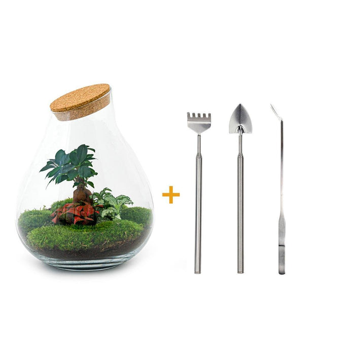 DIY Terrarium Kit - Doorn