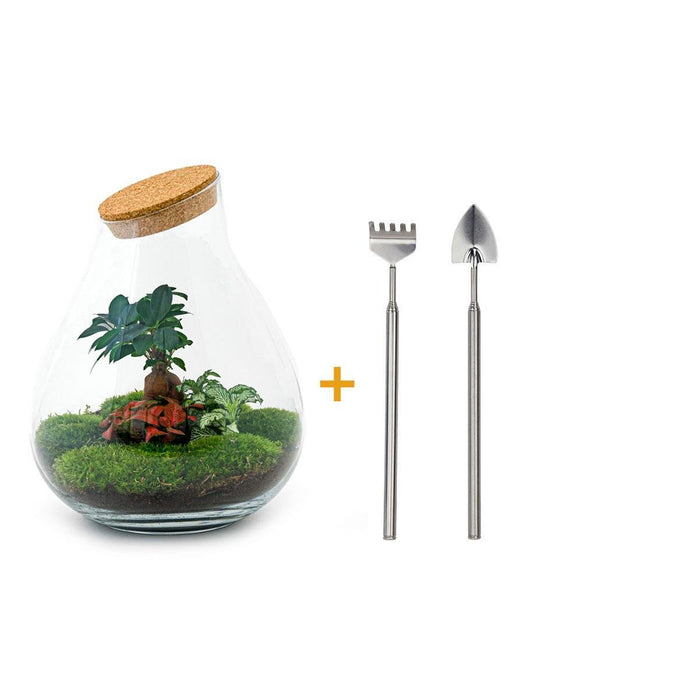 DIY Terrarium Kit - Doorn