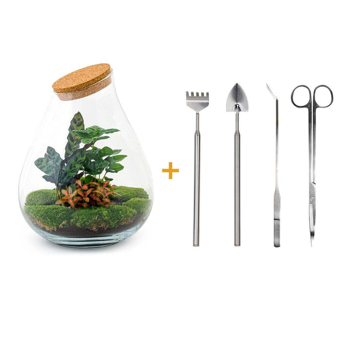 DIY Terrarium Kit - Doorn