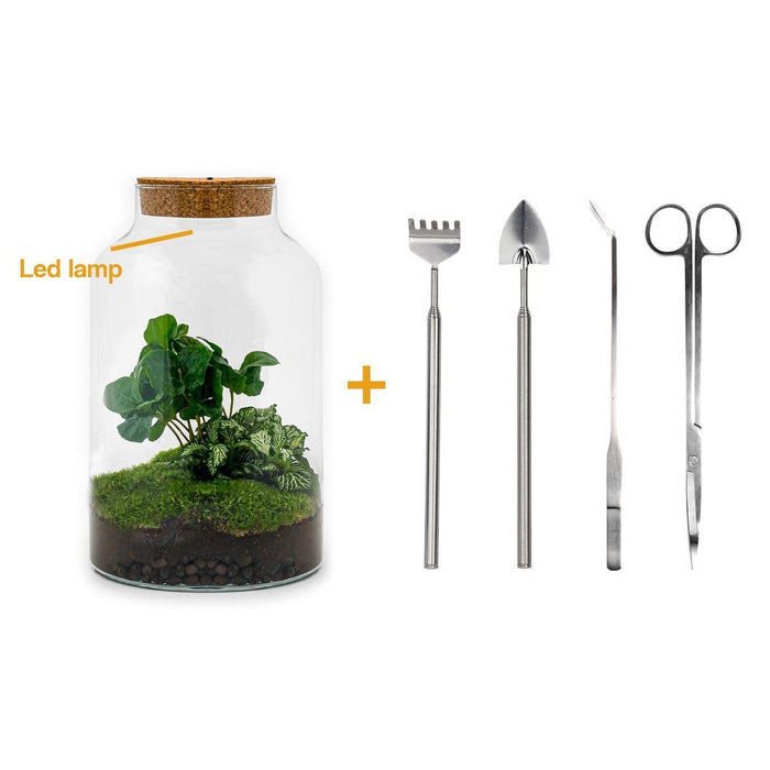DIY Terrarium Kit - Mila