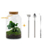 DIY Terrarium Kit - Mila
