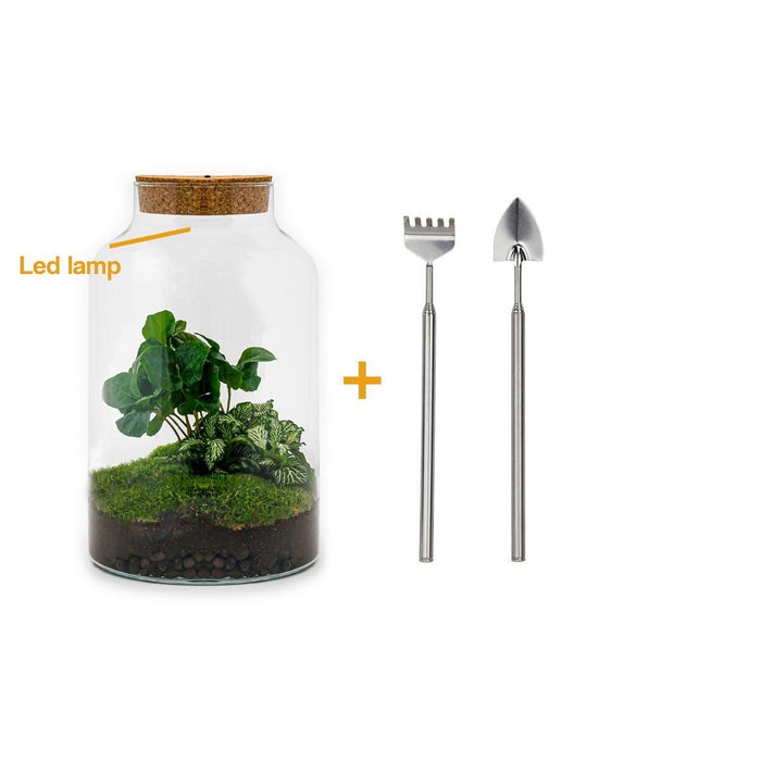 DIY Terrarium Kit - Mila