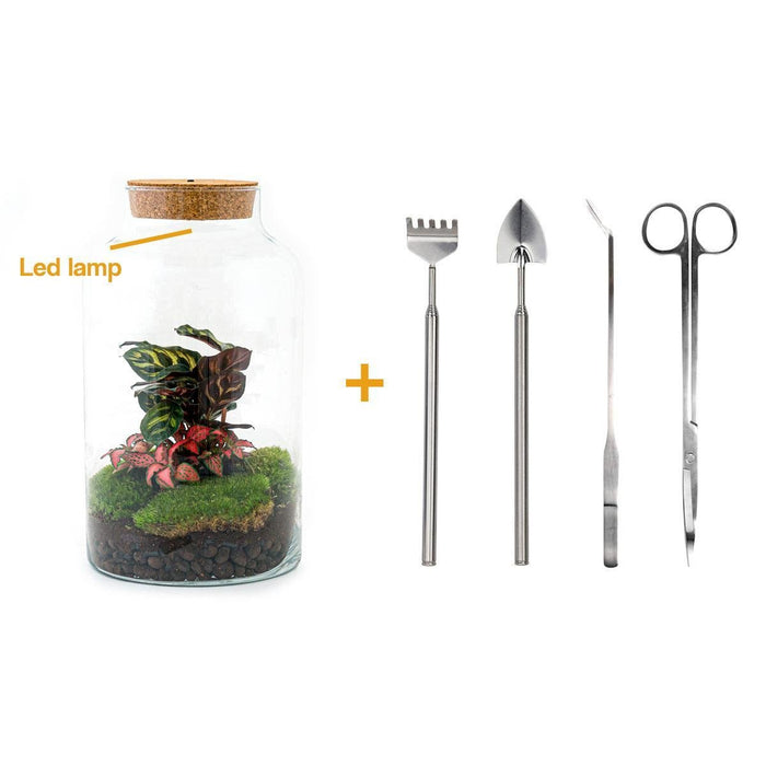 DIY Terrarium Kit - Mila