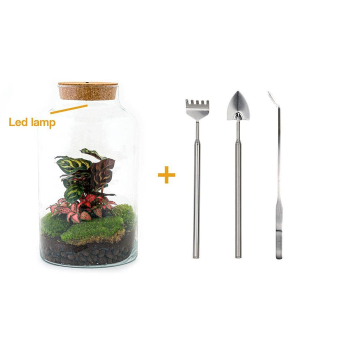 DIY Terrarium Kit - Mila
