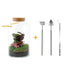 DIY Terrarium Kit - Mila