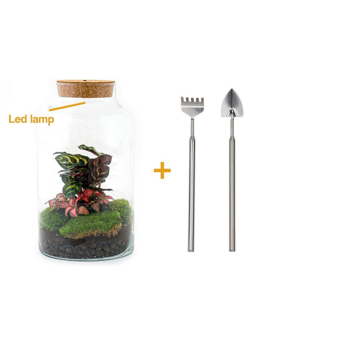 DIY Terrarium Kit - Mila