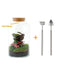 DIY Terrarium Kit - Mila