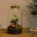 DIY Terrarium Kit - Mila