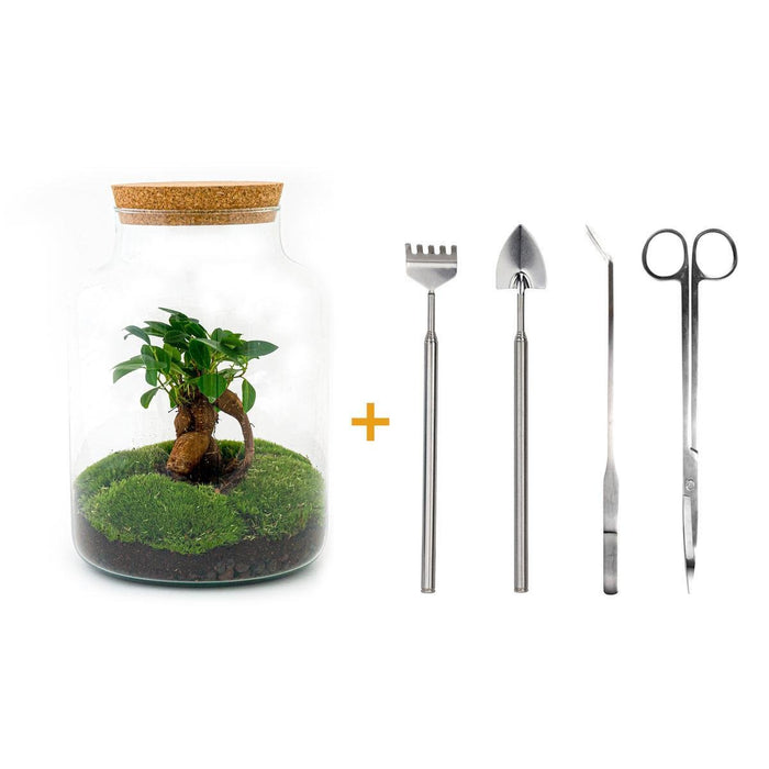 DIY Terrarium Kit - Mila