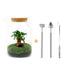 DIY Terrarium Kit - Mila