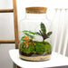 DIY Terrarium Kit - Mila