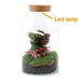 DIY Terrarium Kit - Mila