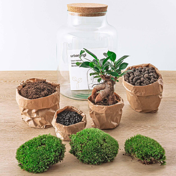 DIY Terrarium Kit - Mila