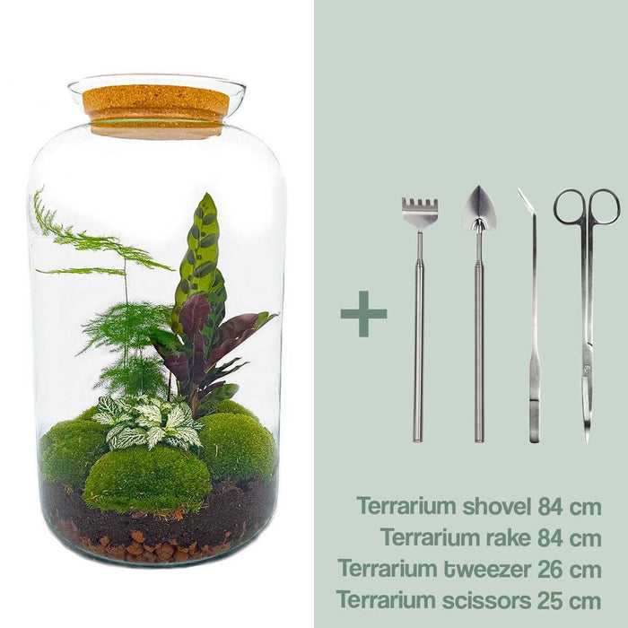 DIY Terrarium Kit - Salg