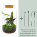 DIY Terrarium Kit - Salg