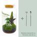 DIY Terrarium Kit - Salg