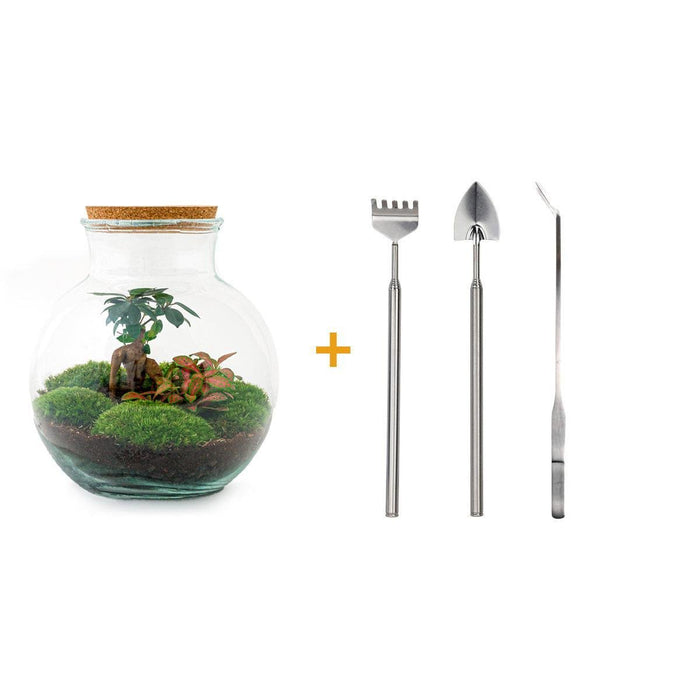 DIY Terrarium Kit - Teddy
