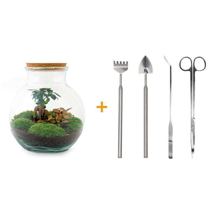 DIY Terrarium Kit - Teddy